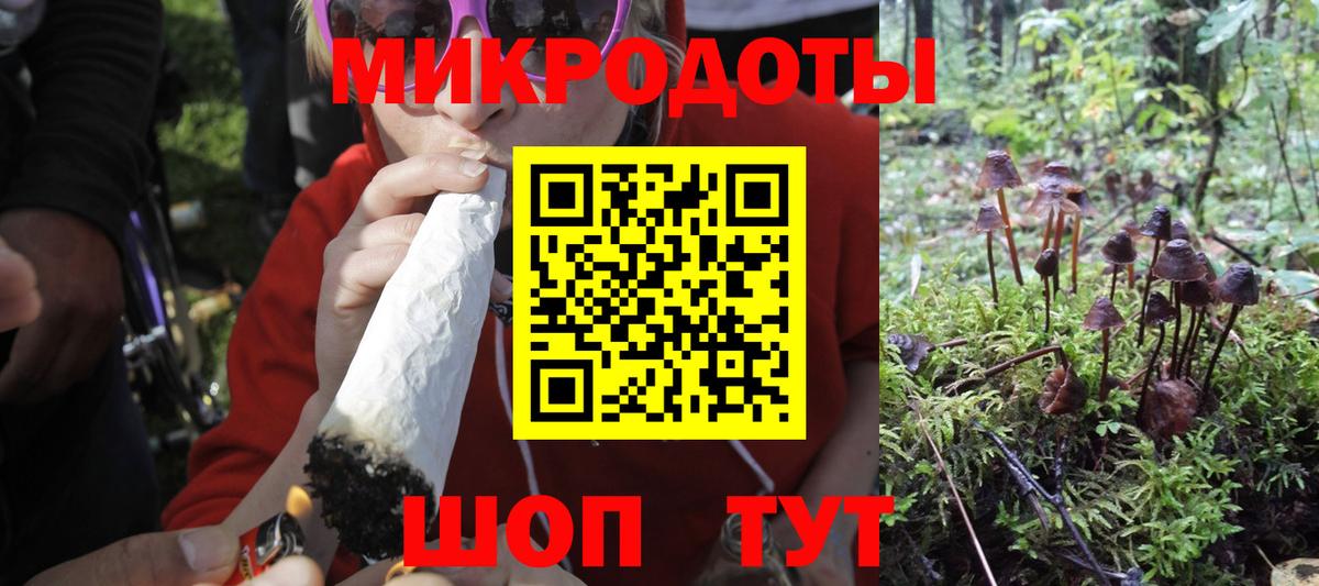 Альметьевск  Галлюциногенные грибы Cubensis  Псилоцибиновые грибы прущие грибы  Вход с VPN 